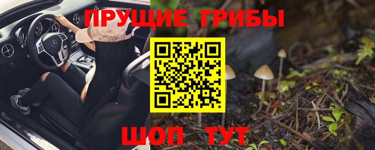 Псилоцибиновые грибы Psilocybine cubensis  Вход с VPN  Куйбышев 
